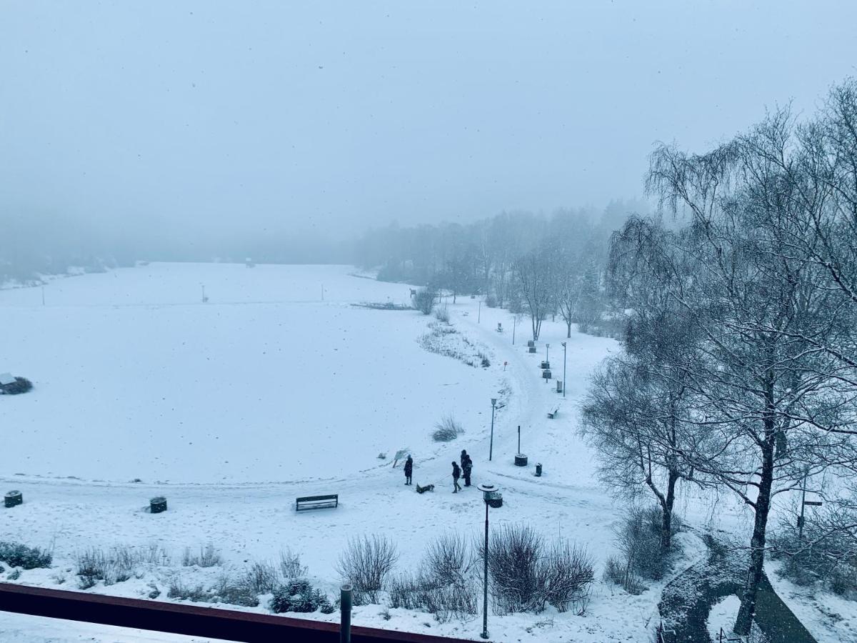 Apartment Seeblick Am Bocksberg - Hahnenklee "Vier Jahreszeiten" Goslar Extérieur photo